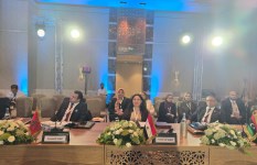 جانب من الفعاليات 