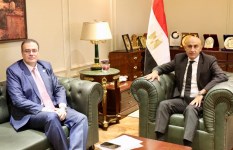 جانب من الفعاليات 