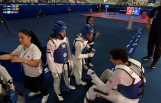 جانب من الفعاليات 