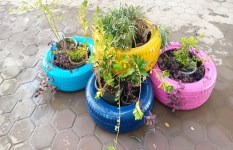 فعاليات بجامعة حلوان  فعاليات بجامعة حلوان