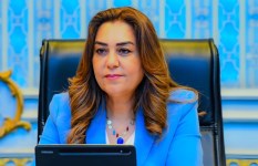 الدكتورة منال عوض الدكتورة منال عوض