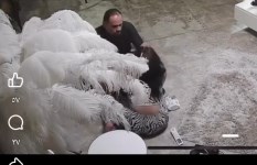 ضرب البلوجر هدير عبد الرازق  ضرب البلوجر هدير عبد الرازق