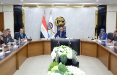 وزير قطاع الأعمال العام  وزير قطاع الأعمال العام