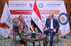 وزير البترول 