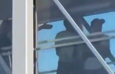 يوسف البلايلي 