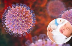 فيروس الروتا 