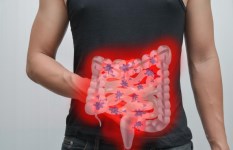 جرثومة المعدة