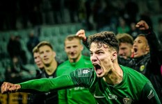 أسد الحملاوي 