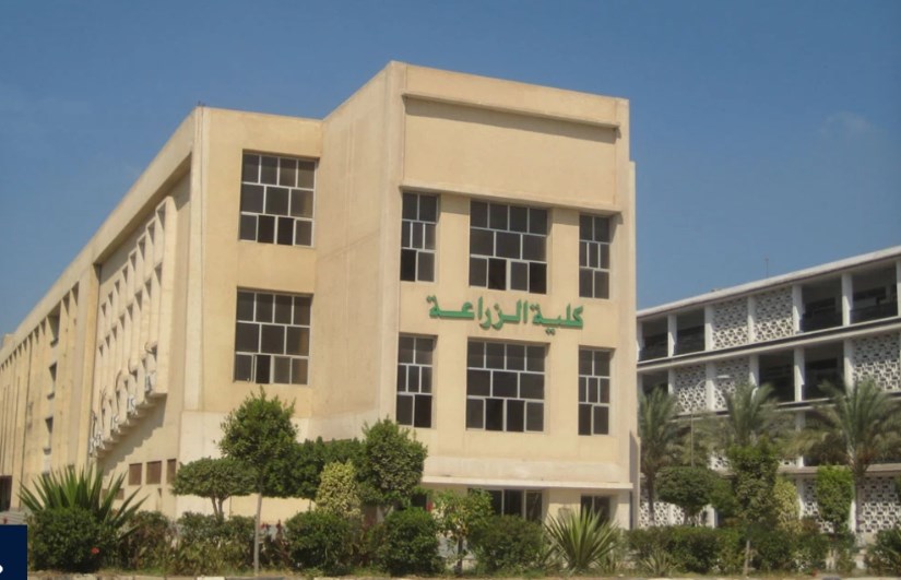 كلية الزراعة كلية الزراعة