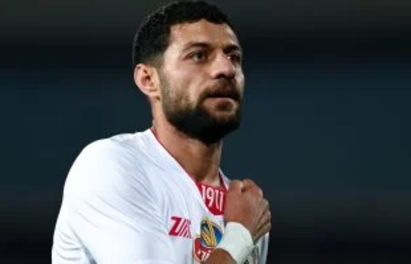 مصطفى شلبي مصطفى شلبي