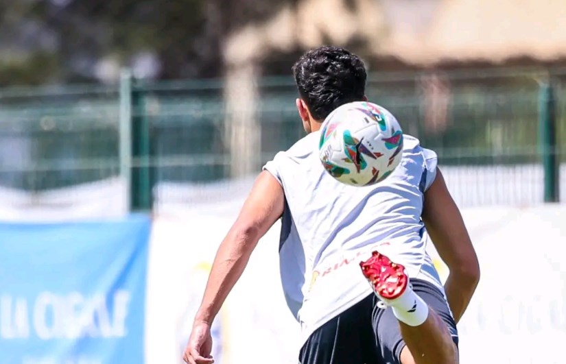 الأهلي الأهلي