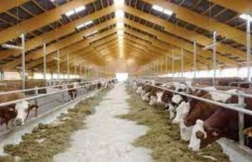 الزراعة  الزراعة