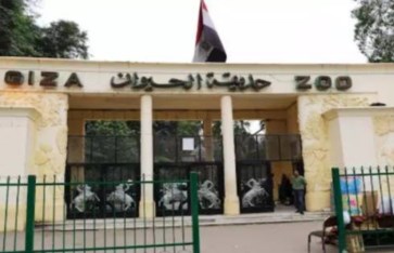 حديقة الحيوان  حديقة الحيوان