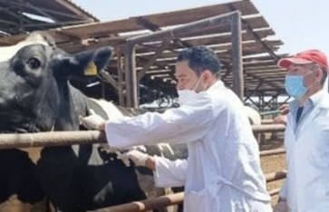 الزراعة  الزراعة