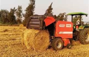 قش الأرز  قش الأرز