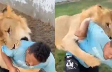 فيديو ترويع عامل مصري باسد فيديو ترويع عامل مصري باسد