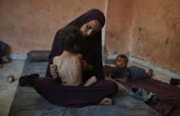 المجاعة في قطاع عزة المجاعة في قطاع عزة