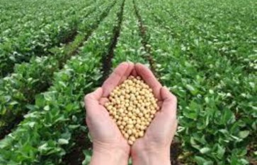 ارتفاع الصادرات الزراعية المصرية  ارتفاع الصادرات الزراعية المصرية