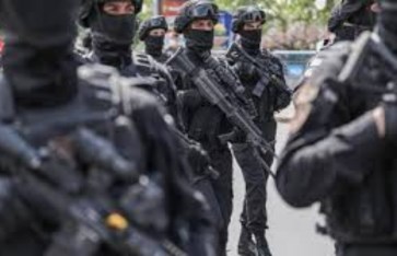 تركيا  تركيا