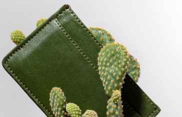 جلد الصبار النباتي  جلد الصبار النباتي