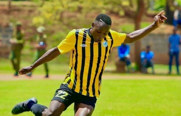 الزمالك  الزمالك