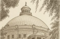 جامعة القاهرة 