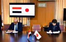 جانب من الفعاليات