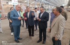 المهندس محمد صلاح  المهندس محمد صلاح