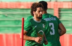 الشامي