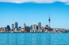 العقارات في نيوزيلندا 