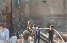 حريق أشجار نخيل حريق أشجار نخيل