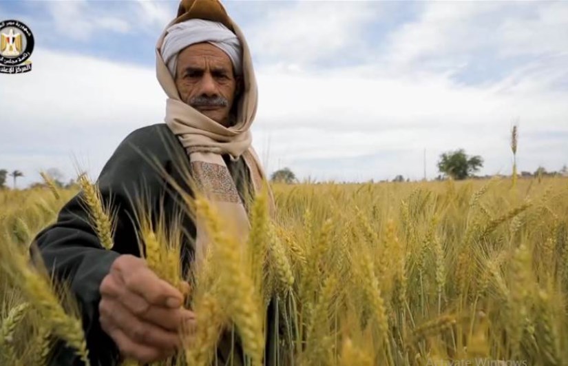 الفلاح المصري الفلاح المصري