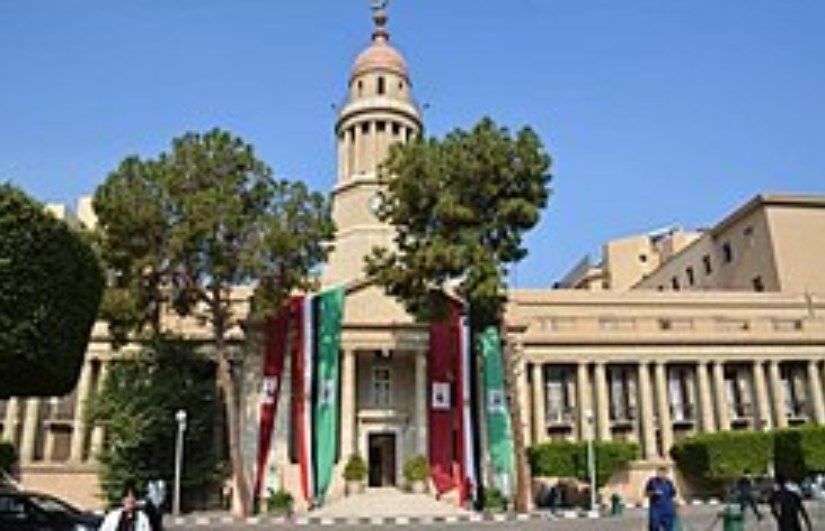 طب القصر العيني طب القصر العيني