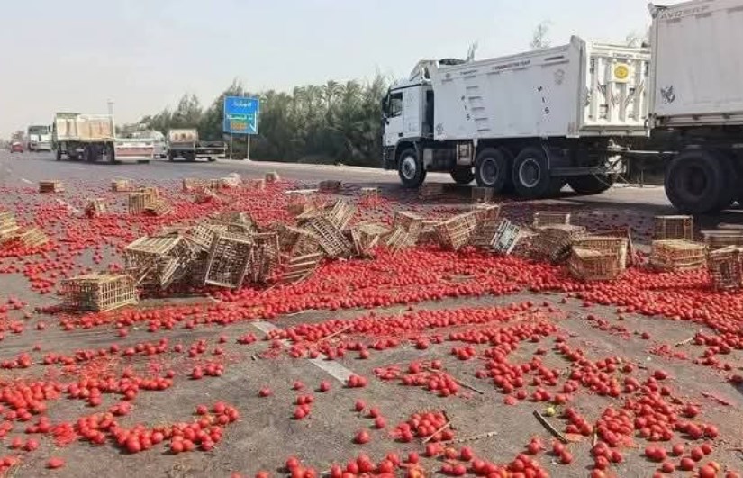 انقلاب سيارة محملة بالطماطم بالطريق الصحراوي بالبحيرة انقلاب سيارة محملة بالطماطم بالطريق الصحراوي بالبحيرة