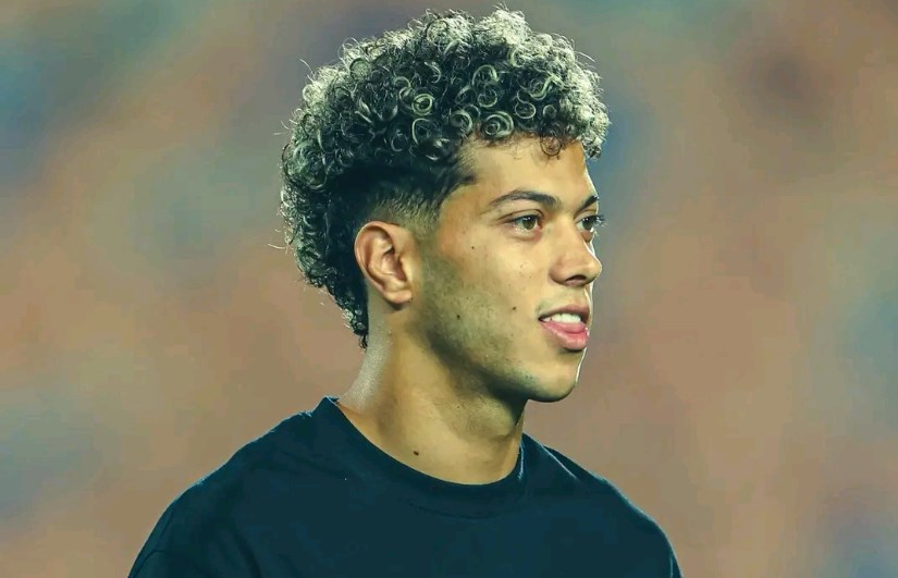 الأهلي الأهلي