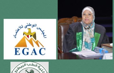 المجلس الوطني  المجلس الوطني