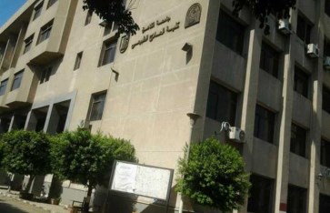 كلية العلاج الطبيعي  كلية العلاج الطبيعي