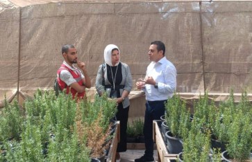 الزراعة  الزراعة