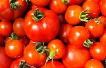 الطماطم  الطماطم