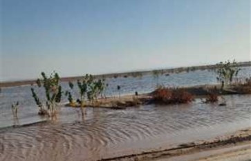 سيول محدودة سيول محدودة