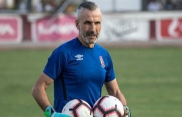 ميشيل يانكون ميشيل يانكون