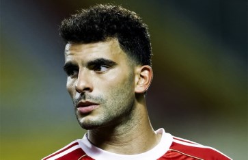 الأهلي  الأهلي