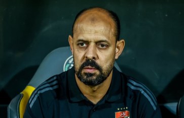 الأهلي  الأهلي