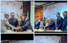 جانب من الفعاليات جانب من الفعاليات