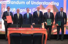 جانب من الفعاليات