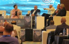 الدكتورة علبة الألفي  الدكتورة علبة الألفي