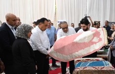 تفقد رئيس الوزراء لمعرض الحرف اليدوية