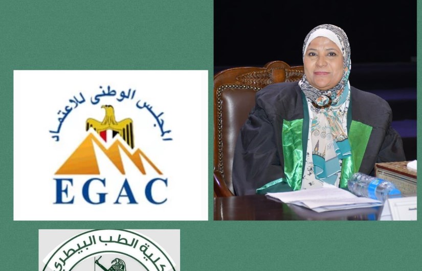 المجلس الوطني المجلس الوطني