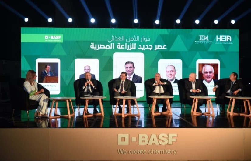 الزراعة الزراعة