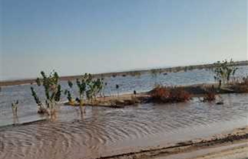 سيول محدودة